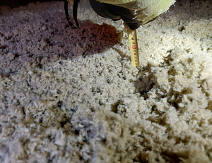 Zateplení stropu rodinného domu pomocí foukané izolace